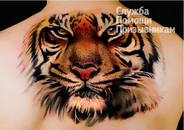Переливание крови из вены в ягодицу от прыщей цена