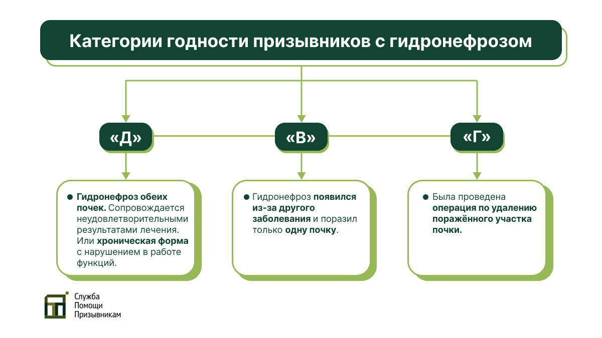 Категории годности для призывников с гидронефрозом Гидронефроз у призывников