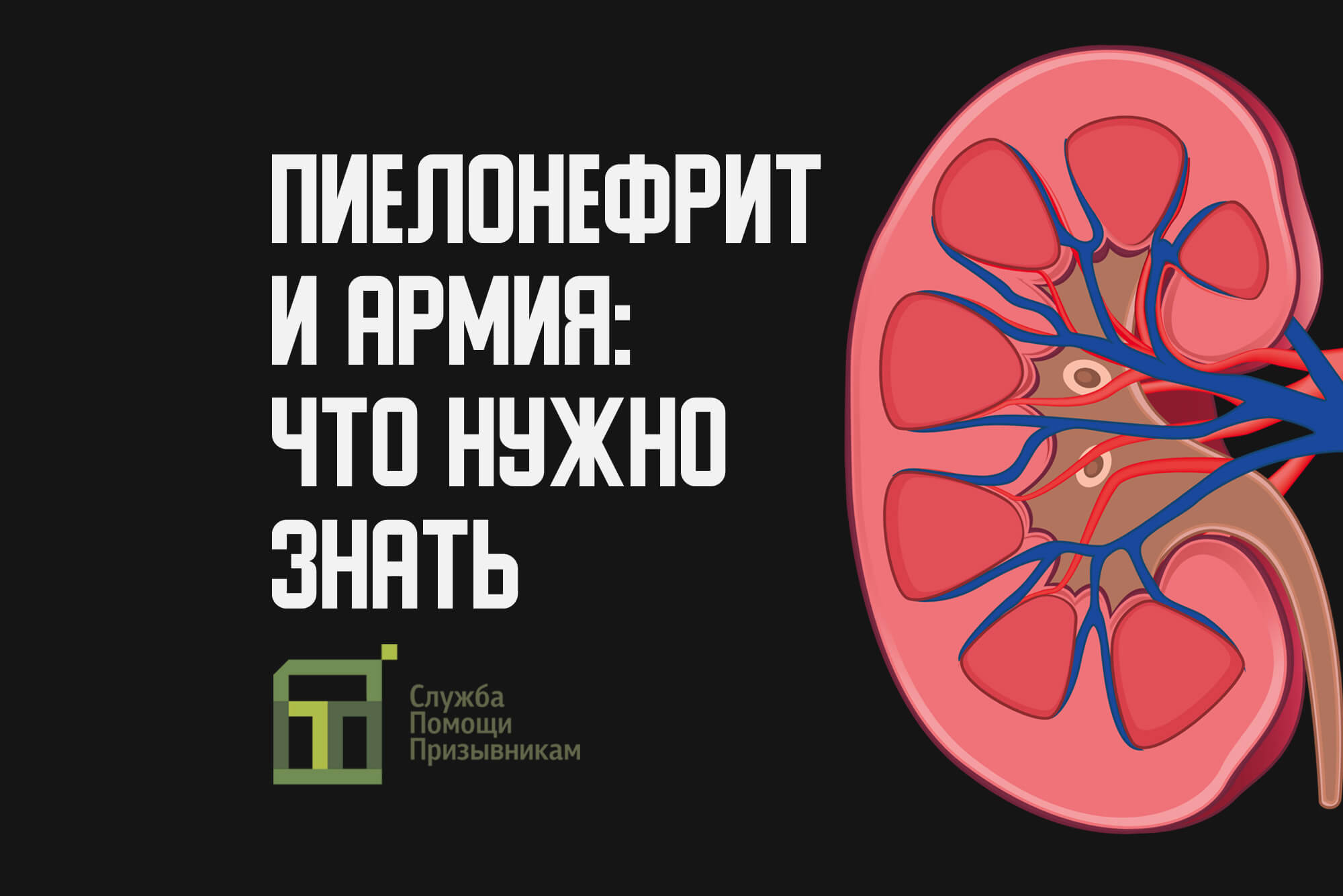 Берут ли в армию с пиелонефритом в 2024 году?