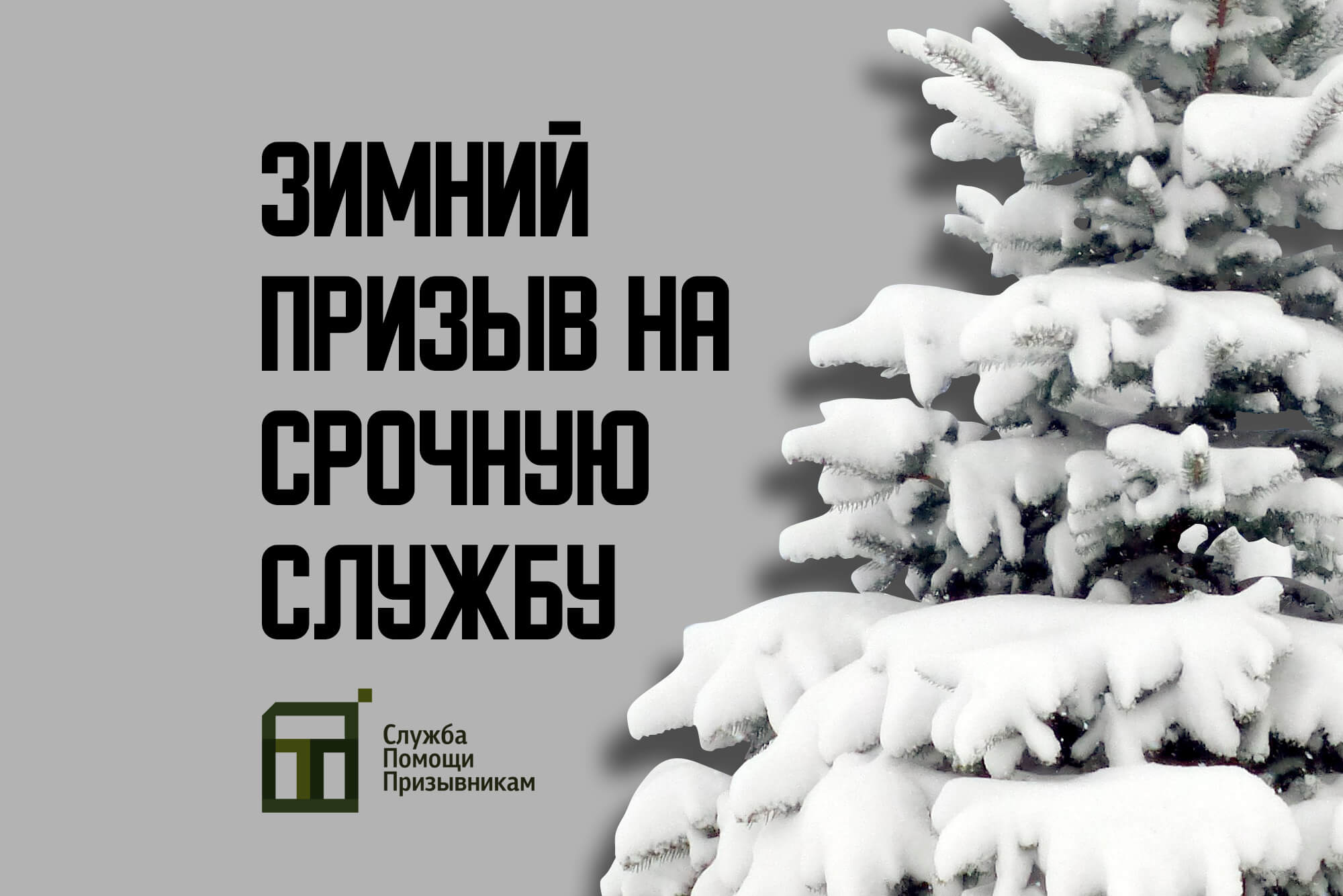 Зимний призыв числа. Зимний призыв числа