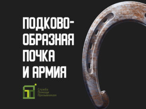 Берут ли в армию с подковообразной почкой