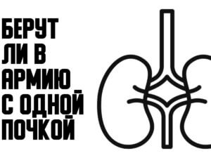 Берут ли в армию с одной почкой