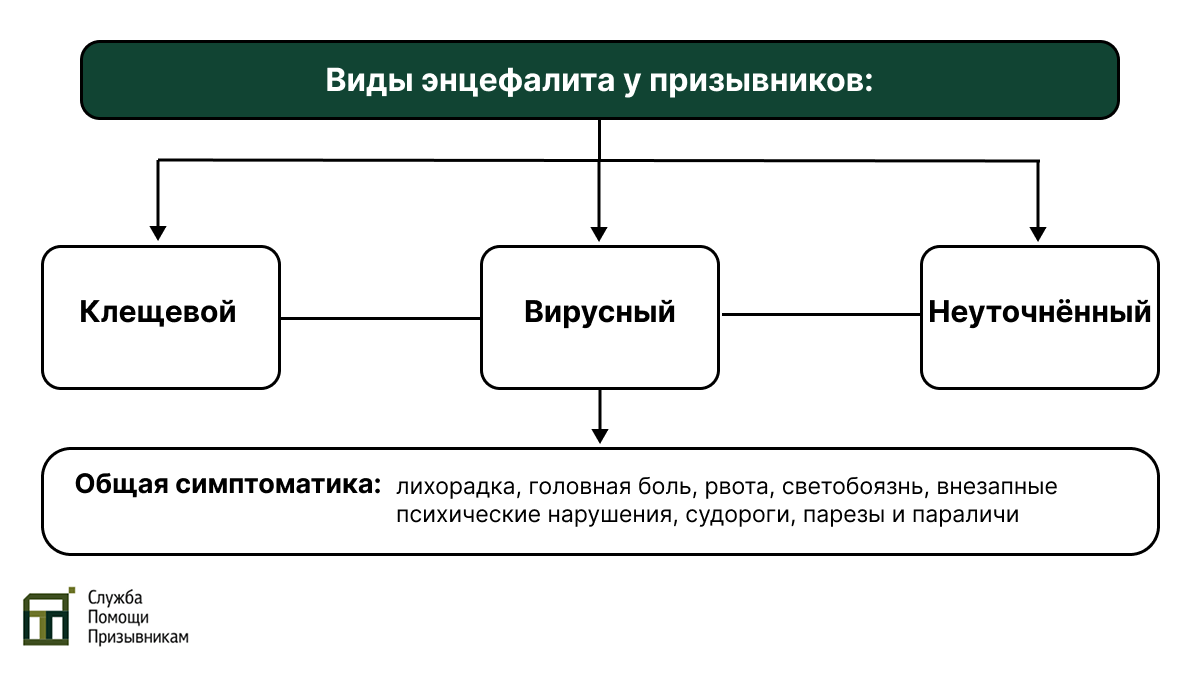 Энцефалит у призывников и его виды
