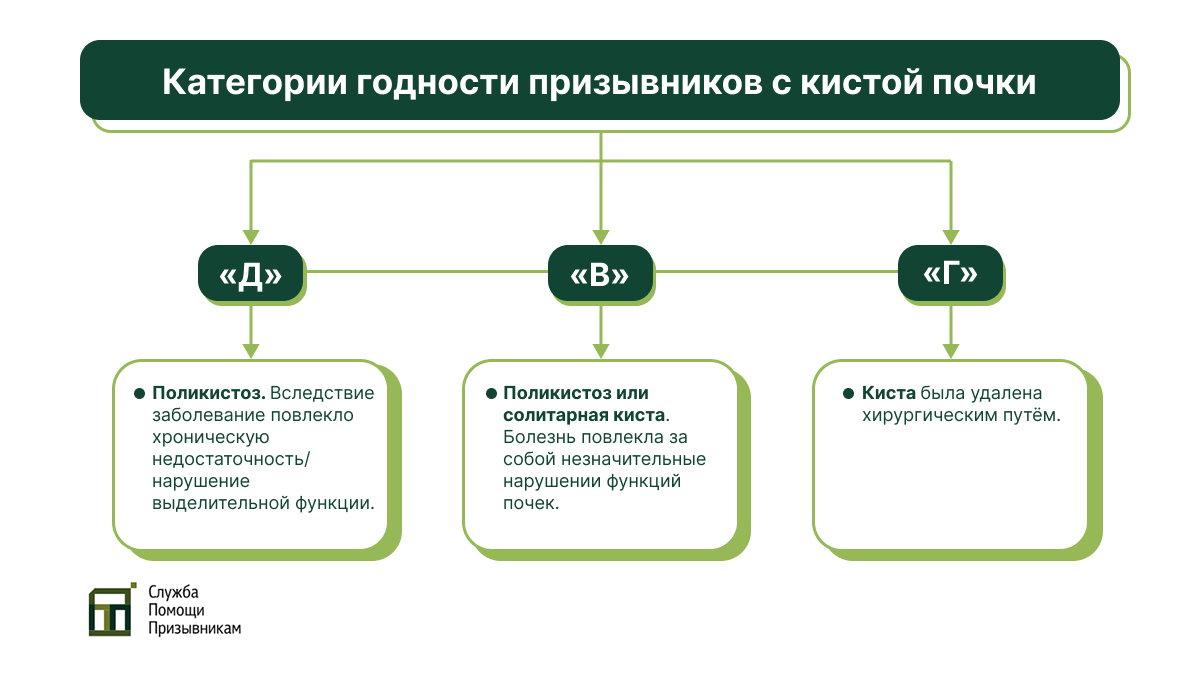 Категории годности призывников с кистой в почке